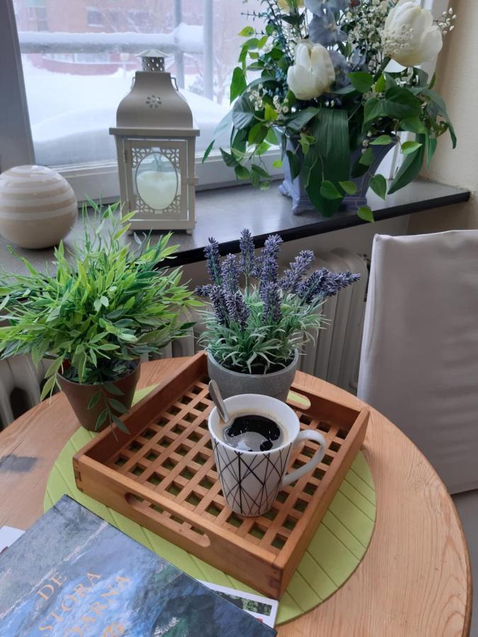 Pitea Vandrarhem מראה חיצוני תמונה
